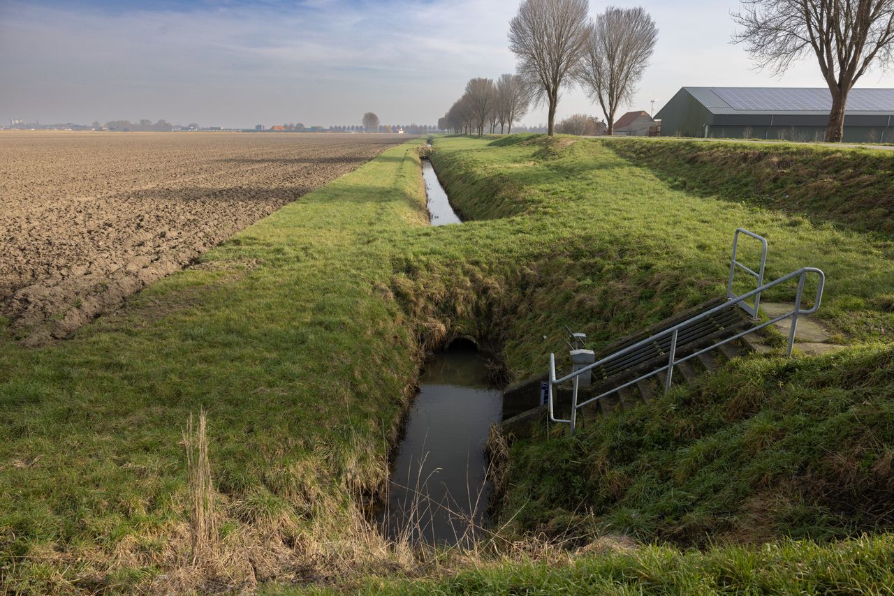 “Ik wil jullie agrarische ondernemers oproepen om je bezig te gaan houden met de politiek”, zegt Jolanda Nooijen in haar laatste column voor Groenten & Fruit. Foto: Peter Roek