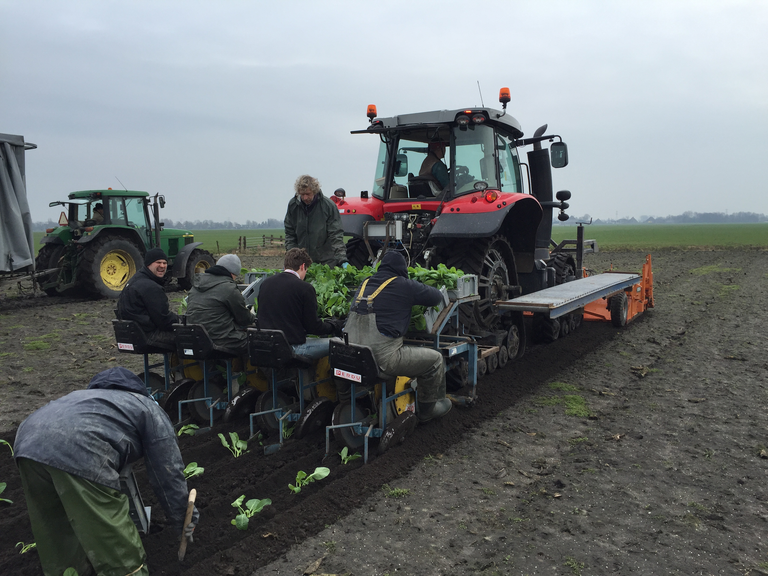 Rubriek &apos;Geluiden van het veld&apos; start nieuw seizoen