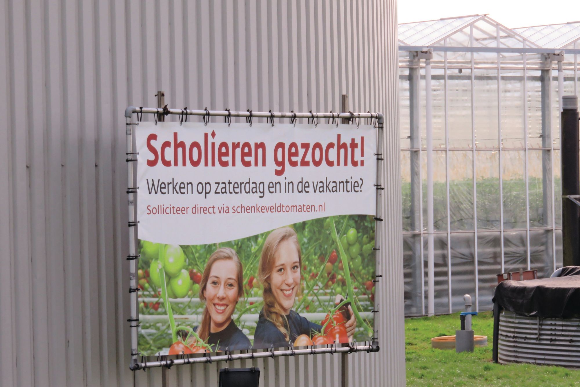 Mocht een scholier zich ontpoppen tot stagiair op uw bedrijf, dan blijven Arbo-regels van kracht. Foto: Ton van der Scheer