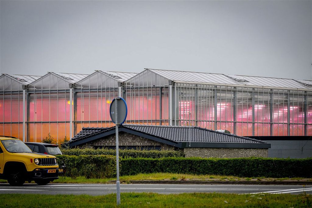 Verlichte kassen in het Westland. Den Haag weet dat dit het belangrijkste tuinbouwgebied ter wereld is. - Foto: ANP