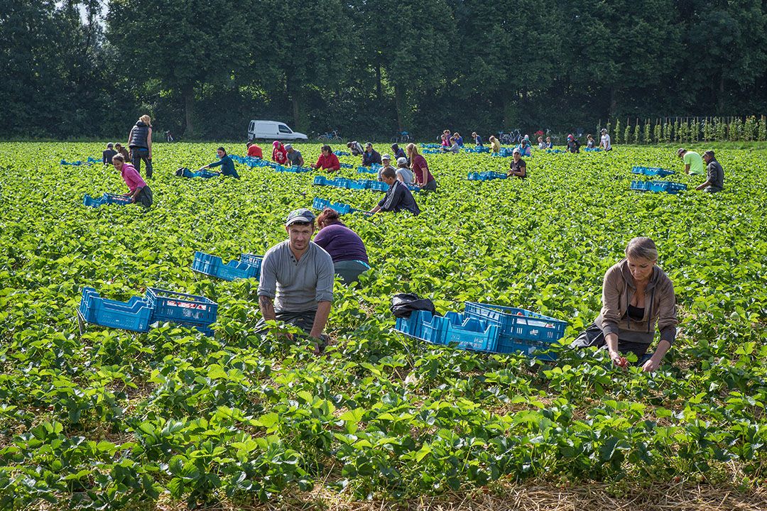 Foto: Peter Roek