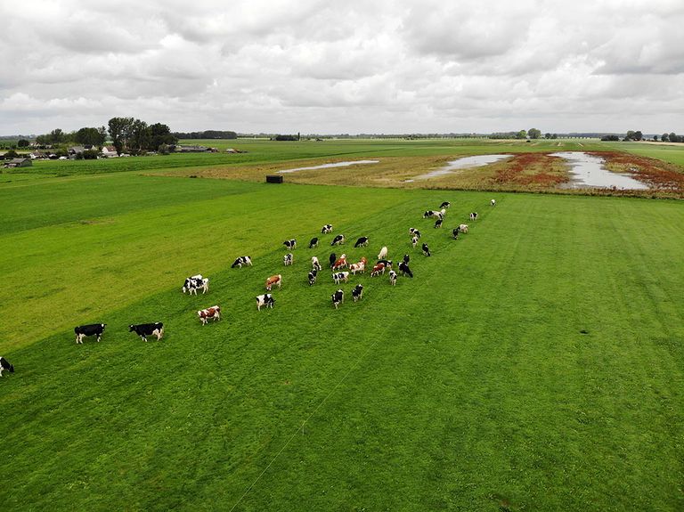 boeren natuur