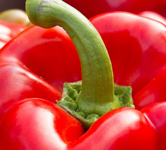 Klant moet Nederlandse paprika kopen, of niet?