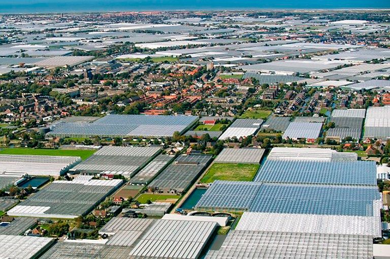 Honselersdijk, Westland, omgeven door glastuinbouw. - Foto:Aerovideostock/Hollandse Hoogte