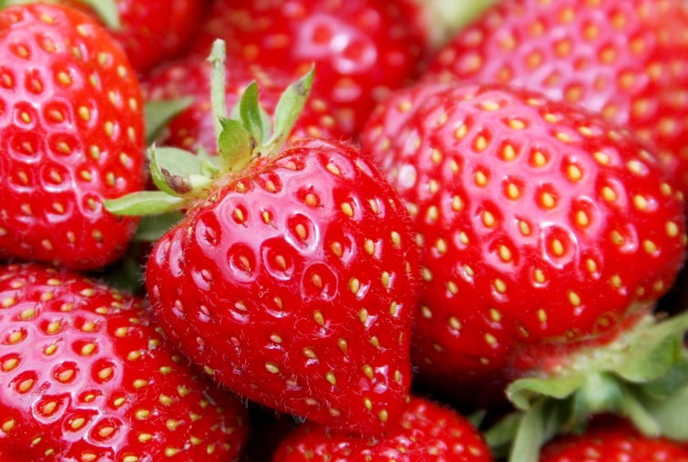 Aardbeienmarkt maakt zich op voor krapte