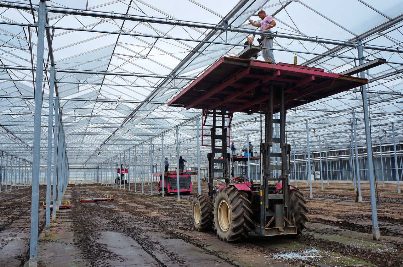 Beglazers met groot materieel de verhagelde kassen in