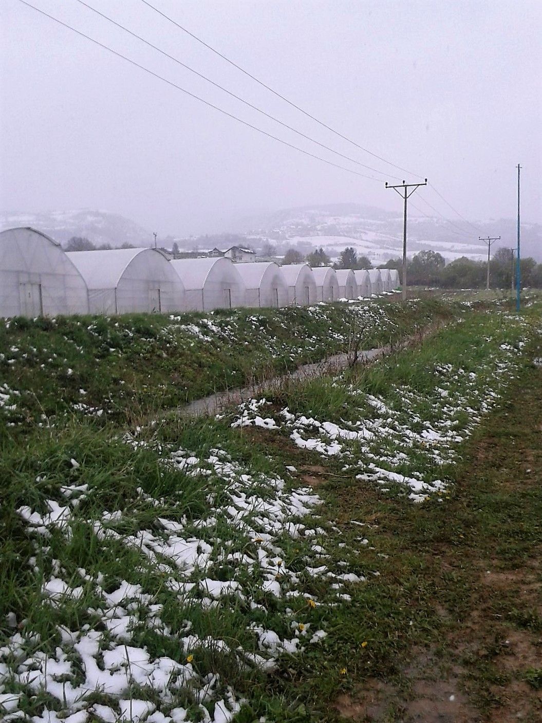 Ook al zijn de omstandigheden niet echt Hollands, toch kan Nederlandse tuinbouwkennis het verschil maken. Foto: Growers for Growers