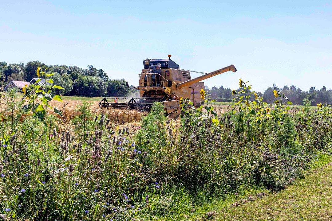 De eerste aanmelding voor deelname aan het nieuwe GLB gaat boeren flink tijd kosten. - Foto: Koos van der Spek