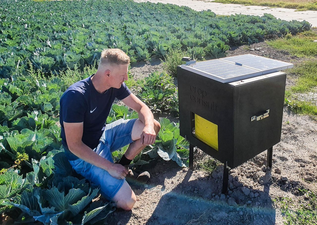 Bram Stoop bij de insectenteller van CropConsult, die helpt om inzicht te krijgen in de insectenpopulaties. Veel aspecten zijn nog in onderzoek. Foto: Marga van der Meer