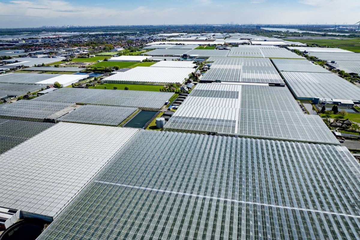 De glastuinbouw had met het vorige kabinet al afspraken gemaakt over een CO2-systeem en fiscale maatregelen rond energiebelasting. Foto: ANP