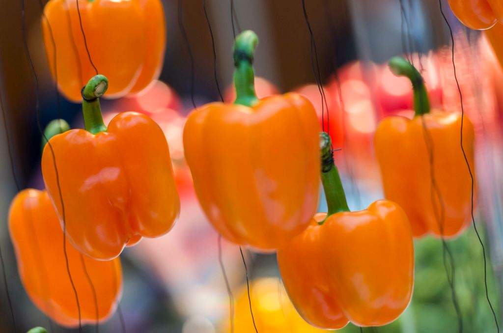 Oranje paprika als versiering op het groentecongres - Foto: ANP