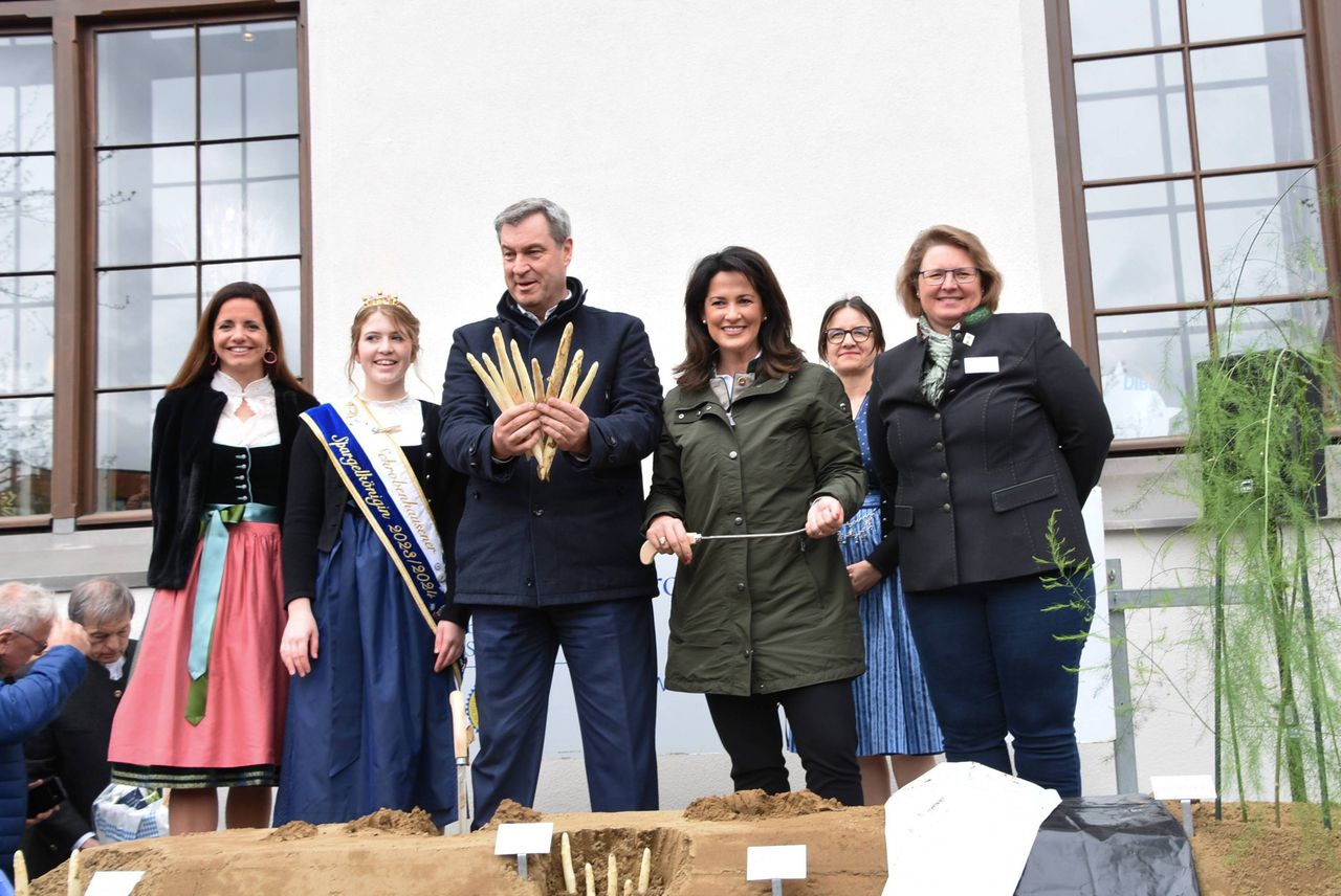 De Beierse minister president Markus Soeder draaft ‘unverfroren’ op om het aspergeseizoen in zijn deelstaat te openen. – Foto: ANP