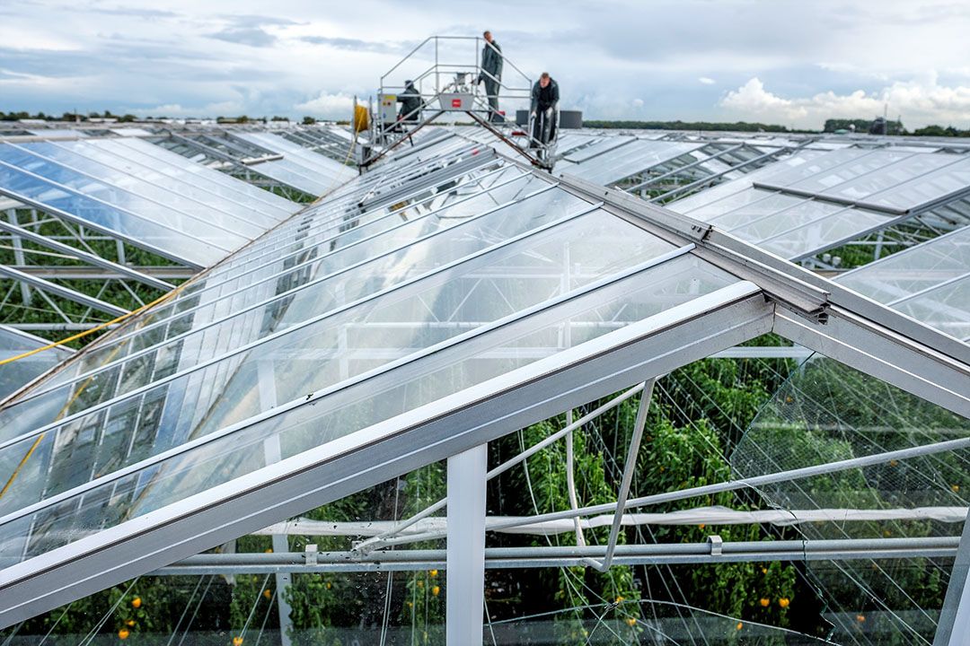 Ook glastuinbouw doet mee in Actieprogramma Klimaatadaptie. Foto: Fred Libochant.