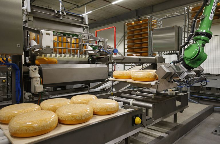 De export van de grootste zuivelproducten kaas (-2%) en mageremelkpoeder (-1%) bleef bijna gelijk ten opzichte van januari en februari van 2020. Japan blijft de grootste afnemer van kaas voor de EU met 18.220 ton. - Foto: ANP