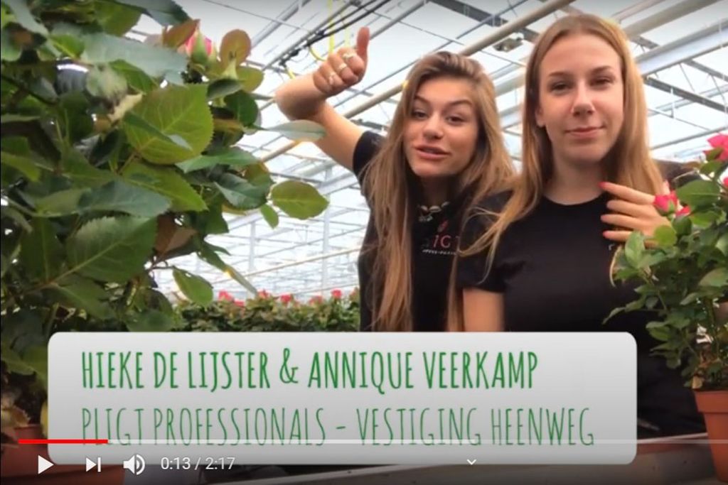 Hieke en Annique vloggen vanuit de rozenkas. - Beeld: Glastuinbouw Nederland