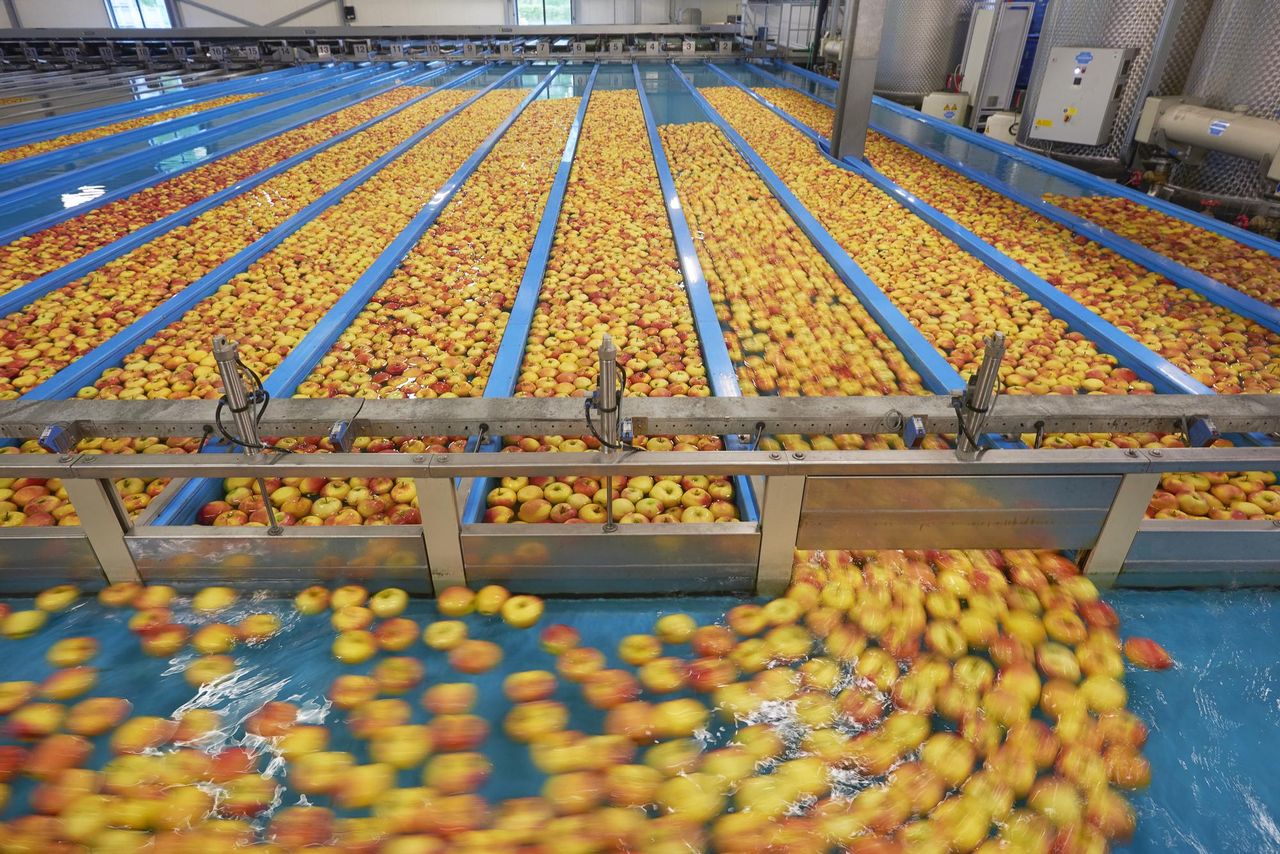De discussie over voedselzekerheid raakt ook de groente- en fruitketen. Foto: Van Assendelft Fotografie