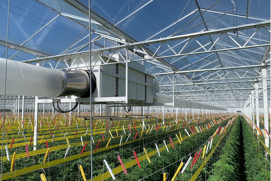 Een aantal energie-investeringen in kassen krijgt weer fiscaal voordeel bovenop subsidies. - Foto: Schenkeveld Tomaten