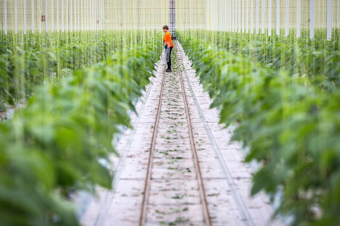 Foto: Diederik van der Laan