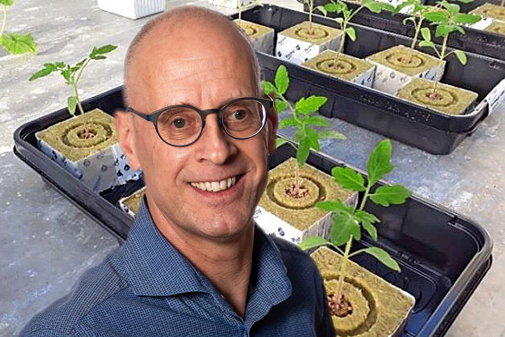 Plantenviroloog René van der Vlugt. - Foto: WUR  (achtergond: Tomatenzaailingen gebruikt in het onderzoek naar ToBRFV en drainwaterzuivering via ozon. - Foto: Groen Agro Control / bewerking: GFactueel)