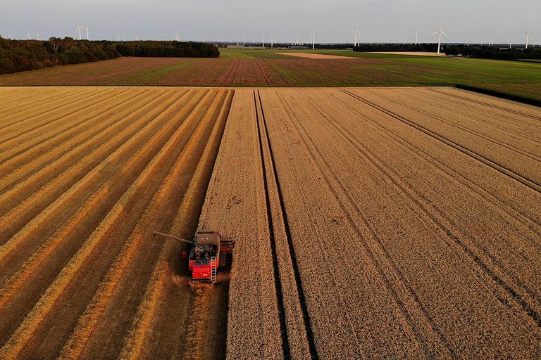 Hoge grondprijzen is een van de redenen dat overname van een bedrijf steeds meer geld vergt. Financieren wordt daardoor ook complexer. - Foto: Hans Prinsen