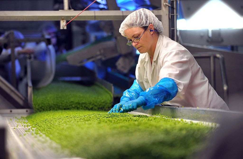 Fabriek van Bonduelle. Het bedrijf kijgt een klap van het opeens sluiten van de horeca in veel landen. Foto: ANP