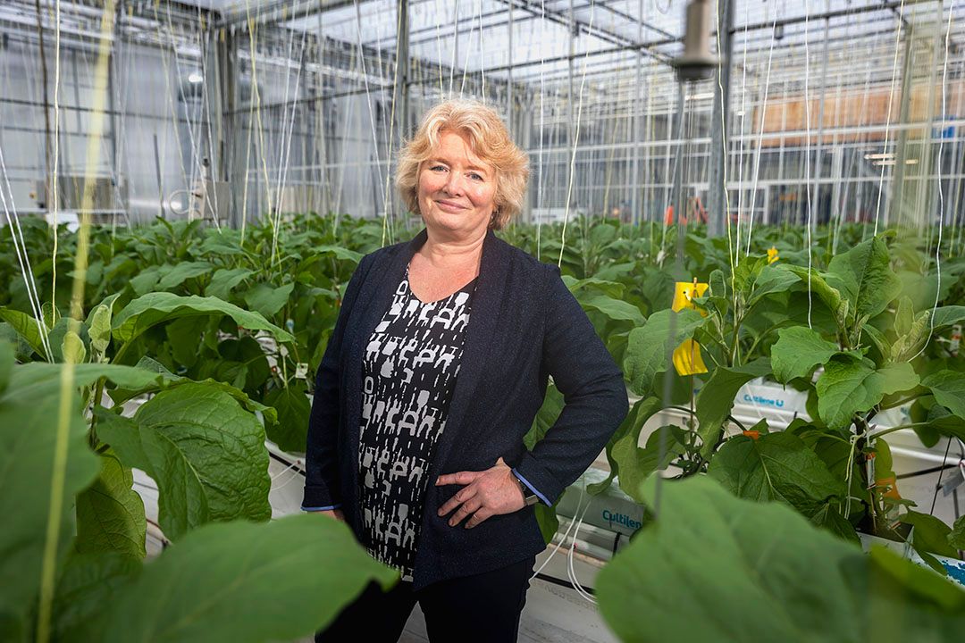 Monique van Wordragen is directeur bij de businessunit Glastuinbouw en Bloembollen van Wageningen University & Research in Bleiswijk - Foto: Roel Dijkstra Fotografie