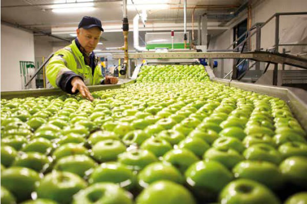 KCB pakt meer overtredingen groentehandel aan