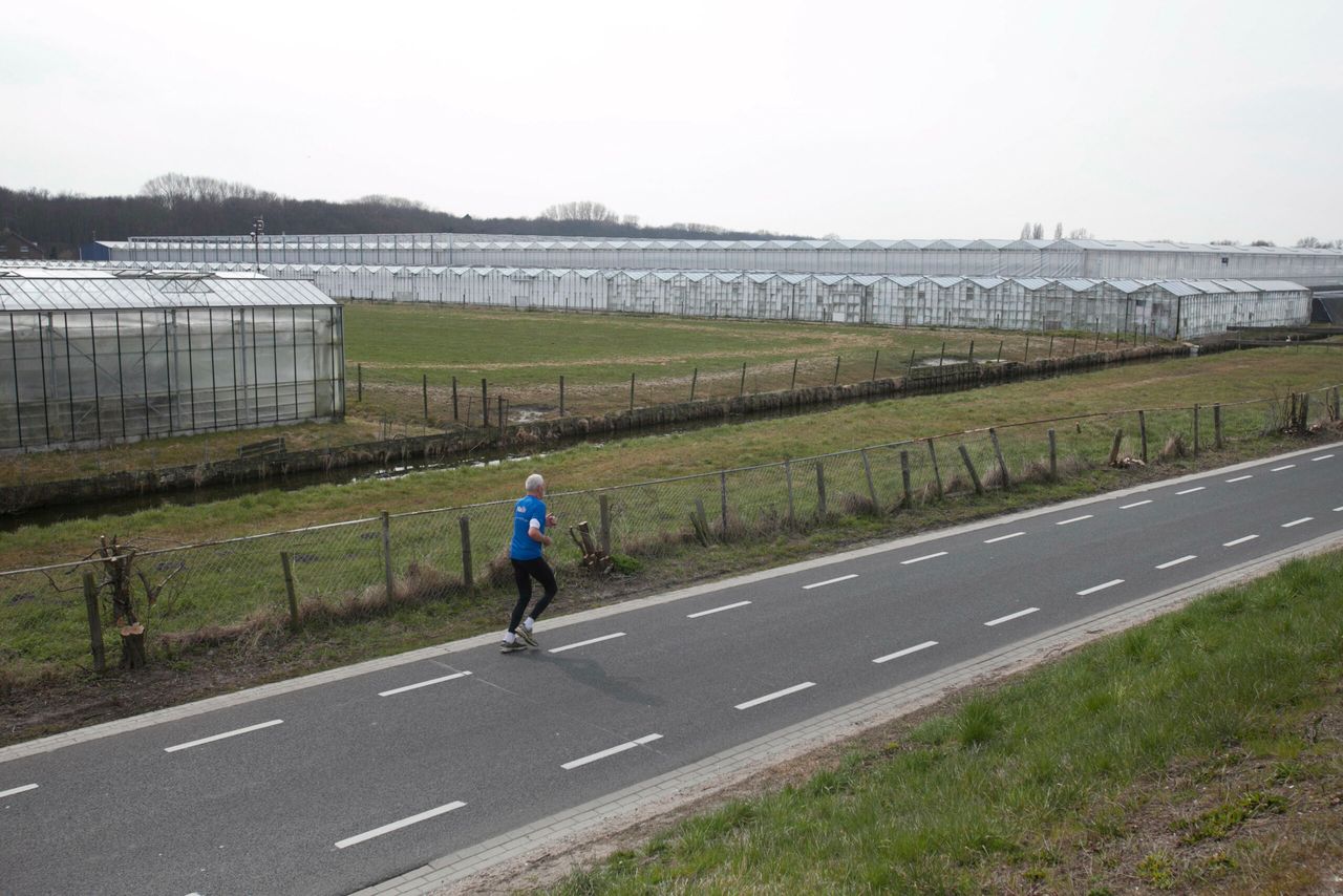 Westland - Foto: Roel Dijkstra