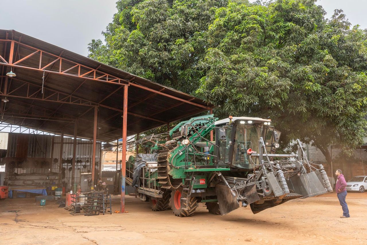 Loonwerker Arthur Pareira werkt met acht zelfrijdende tomatenoogstmachines die in Italië zijn gebouwd. Pareira oogst machinaal tomaten voor de verwerkende industrie. Denk dan aan pasta- en tomatensauzen. Foto's: Mark Pasveer