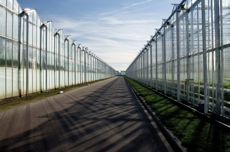 Zuid-Holland laat meer toe in glasgebieden