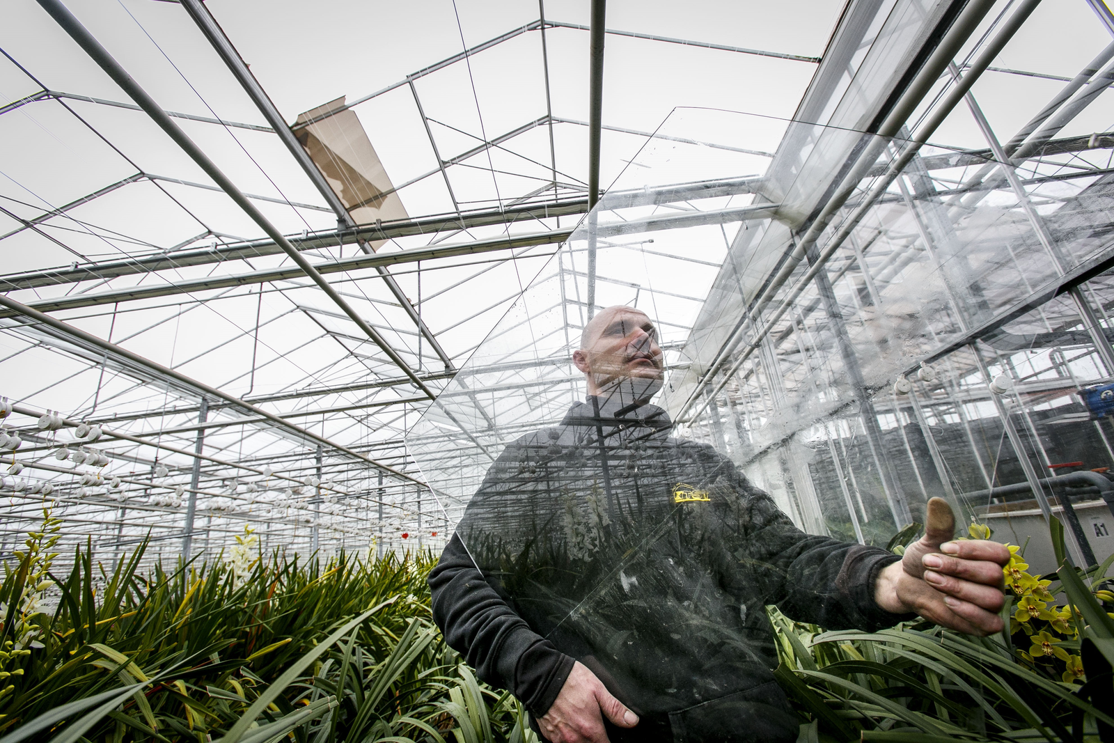 Arbeidsongeval herstel kas leidt tot rechtszaak