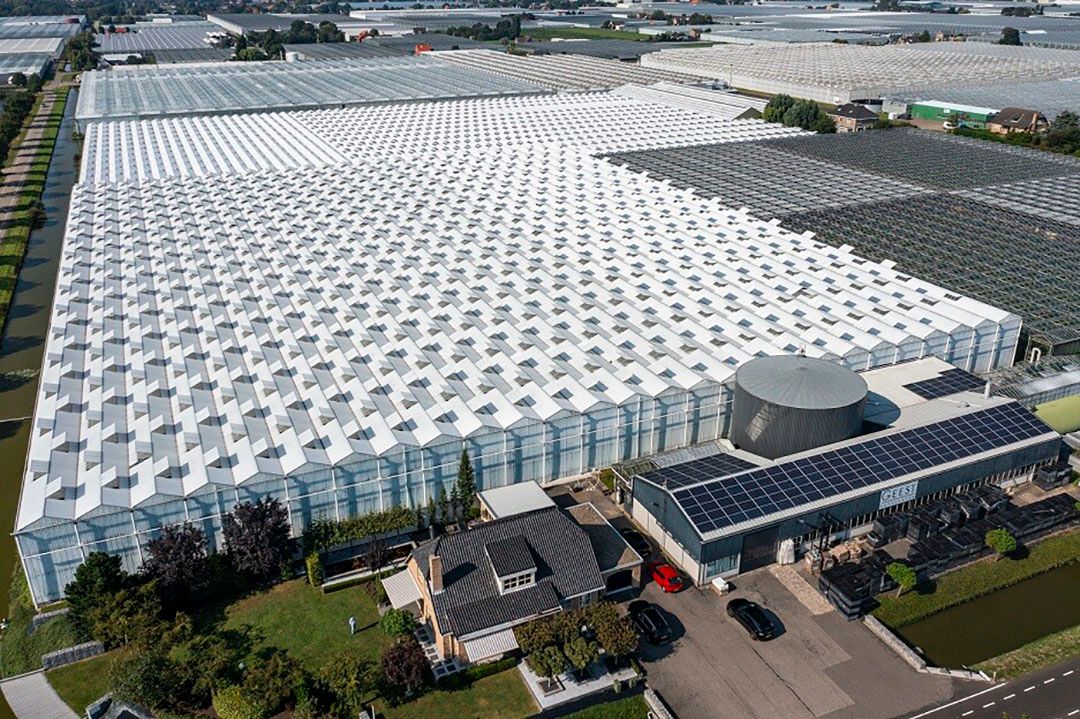 Overzicht van kassen in het Westland. - Foto: ANP / Hollandse Hoogte / Tobias Kleuver