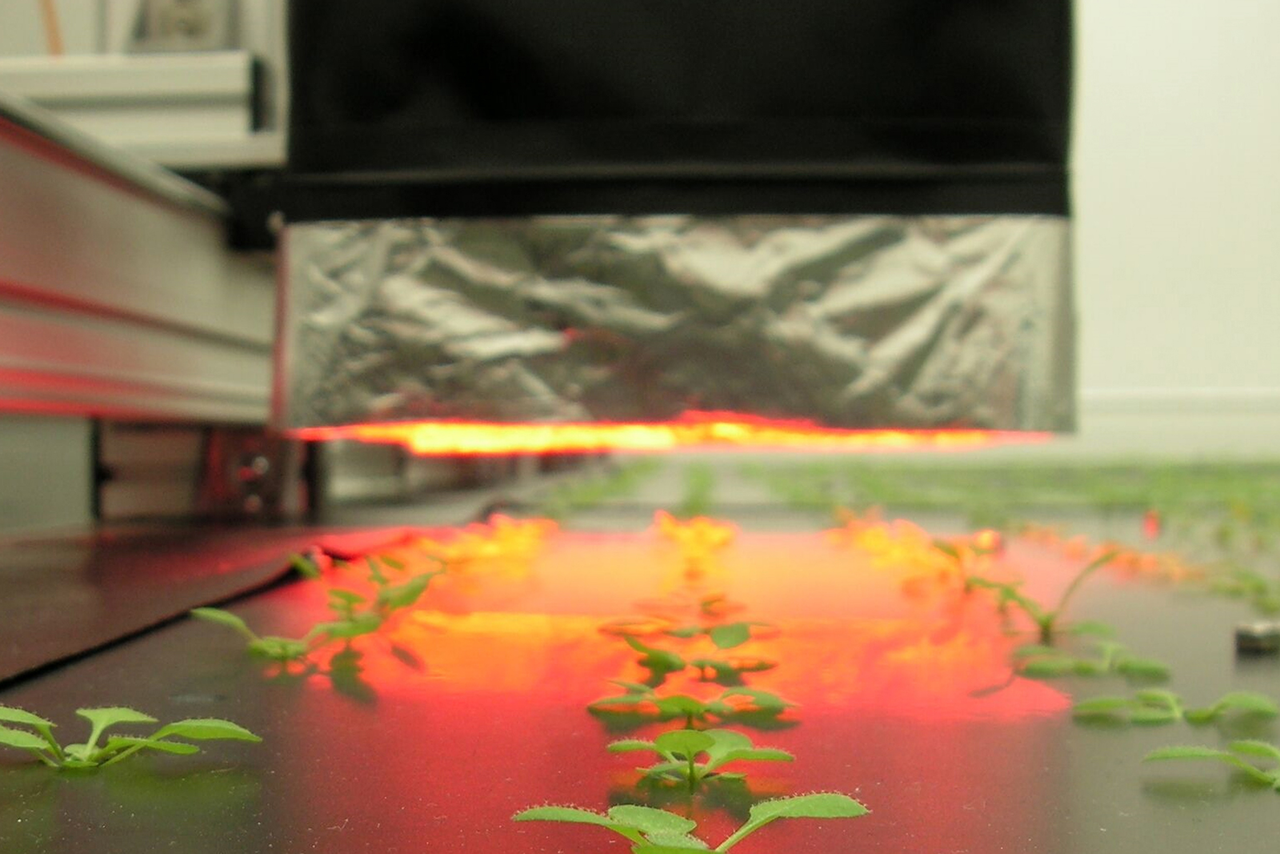 De nieuwe fotosynthese-meettechniek van Wageningen UR. Foto: WUR