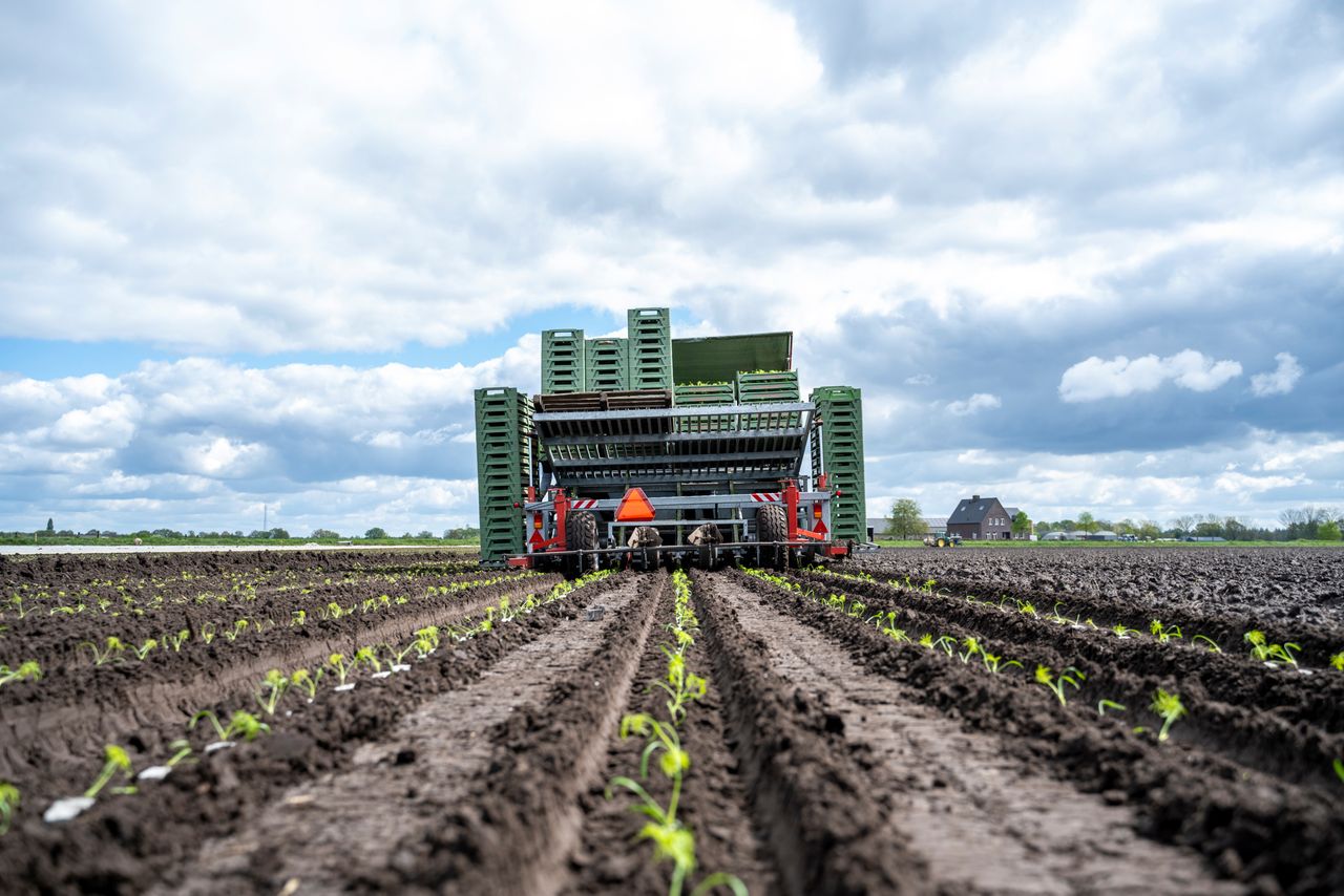 "Toch zitten we al met al op schema en hebben we er inmiddels 14 plantingen inzitten, aldus Joop Litjens op 16 april. – Foto: Bram Becks Fotografie.