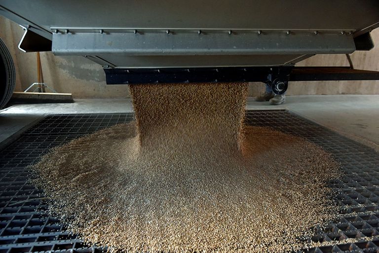 Graan wordt gestort bij een afleverpunt in Oklahoma (VS). Amerikaanse tarwe wordt in het algemeen wat te duur gevonden in verhouding tot de tarwe die anderen op de wereldmarkt brengen. - Foto: Reuters