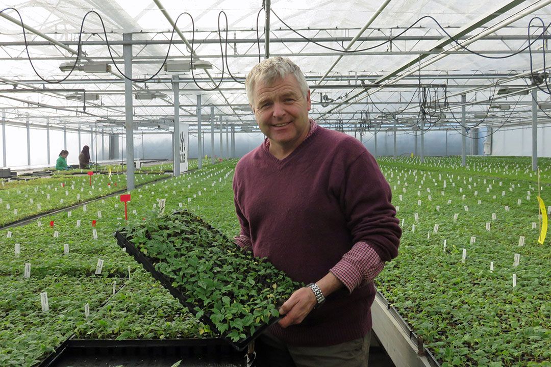 Geert de Weert,  directeur veredeling van ABB. - Foto: Ton van der Scheer