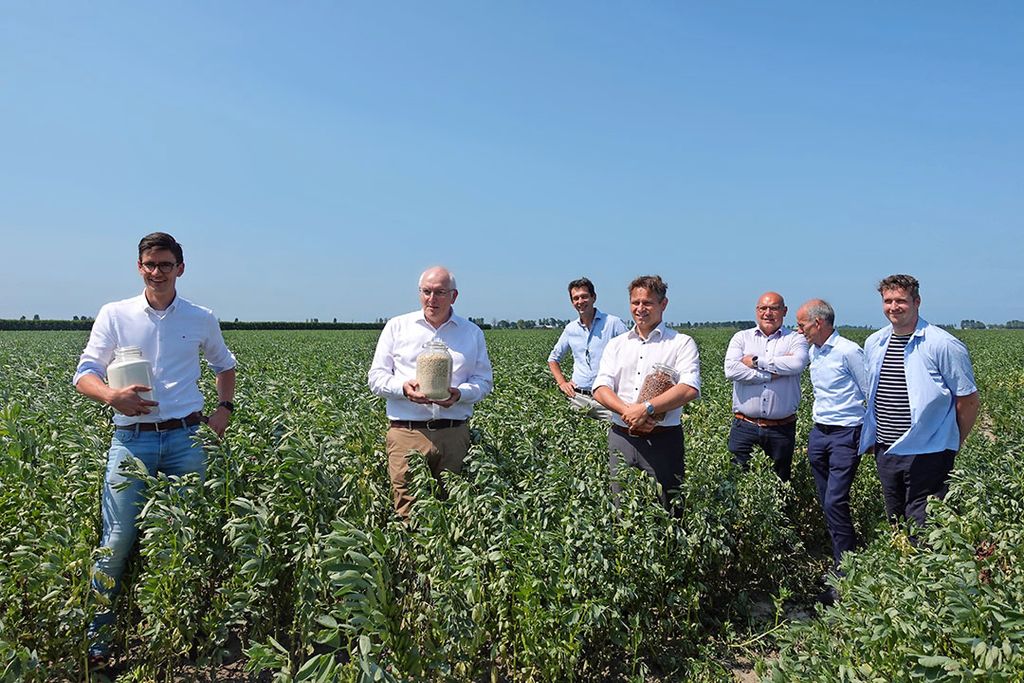 Deelnemers van het project om de mogelijkheden van een lokale veldbonenketen in Zeeland te onderzoeken, waaronder Jurriaan Visser van CZAV (l) en Jos Hugense van Meatless, op een perceel veldbonen in Colijnsplaat. - Foto: Misset