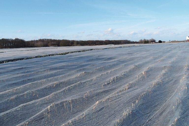 Bij Genson wordt op 80 hectare prei preventief Klimadoek gelegd. Archieffoto: Stan Verstegen