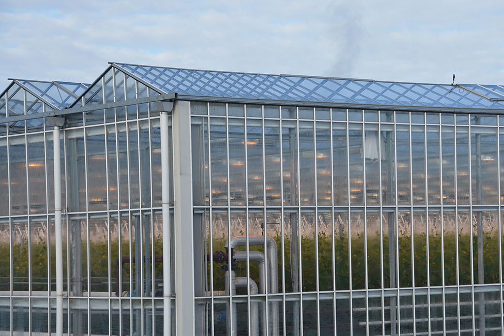 Revitalisering Drentse glastuinbouw