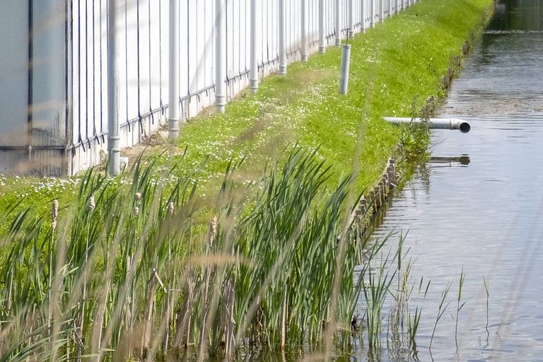 Glastuinbouw Nederland vindt dat de mate van controle afgestemd moet zijn op het behalen van het doel: goede waterkwaliteit. Foto: ANP / Hollandse Hoogte / Hans van Rhoon