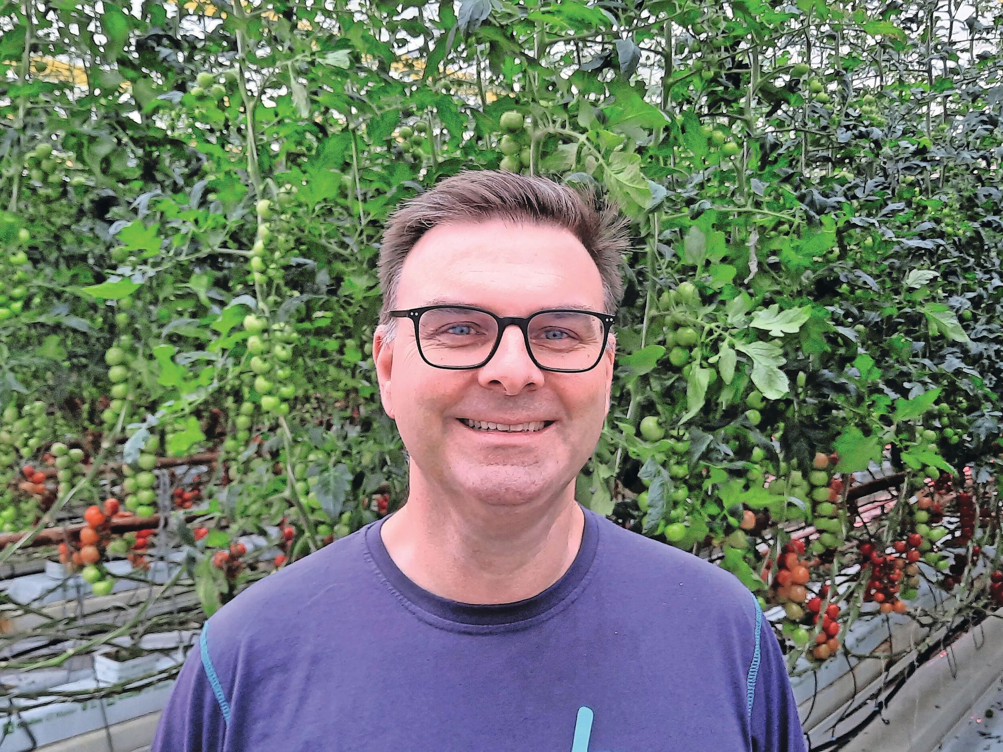 Nog steeds te laag vruchtgewicht troscherrytomaten’ - Groenten & Fruit