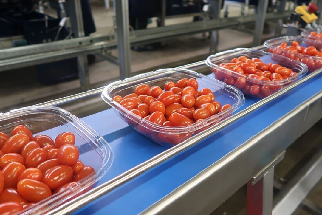 De GMO-subsidie van FresQ werd terug gevorderd vanwege de afzetconstructie van FresQ, niet vanwege de hestemming van gelden. - Foto: RedStar