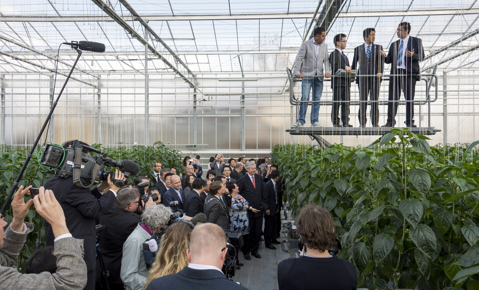 De Japanse Minister van Landbouw Yoshimasa Hayashi bezocht kassen in het Westland in 2013