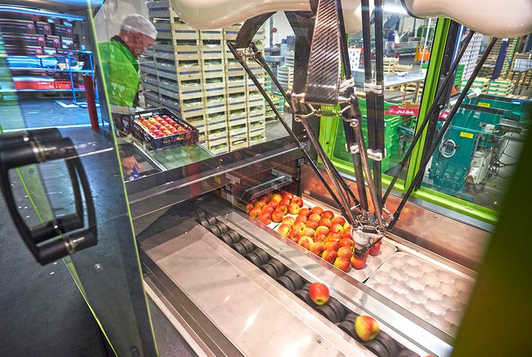 Innovatie bij FruitMasters via robotisering. - Foto: Van Assendelft Fotografie