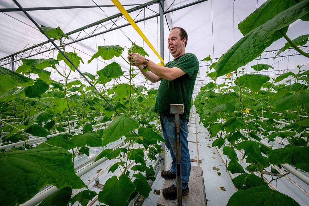 Arthur van Geest. - Foto: Roel Dijkstra