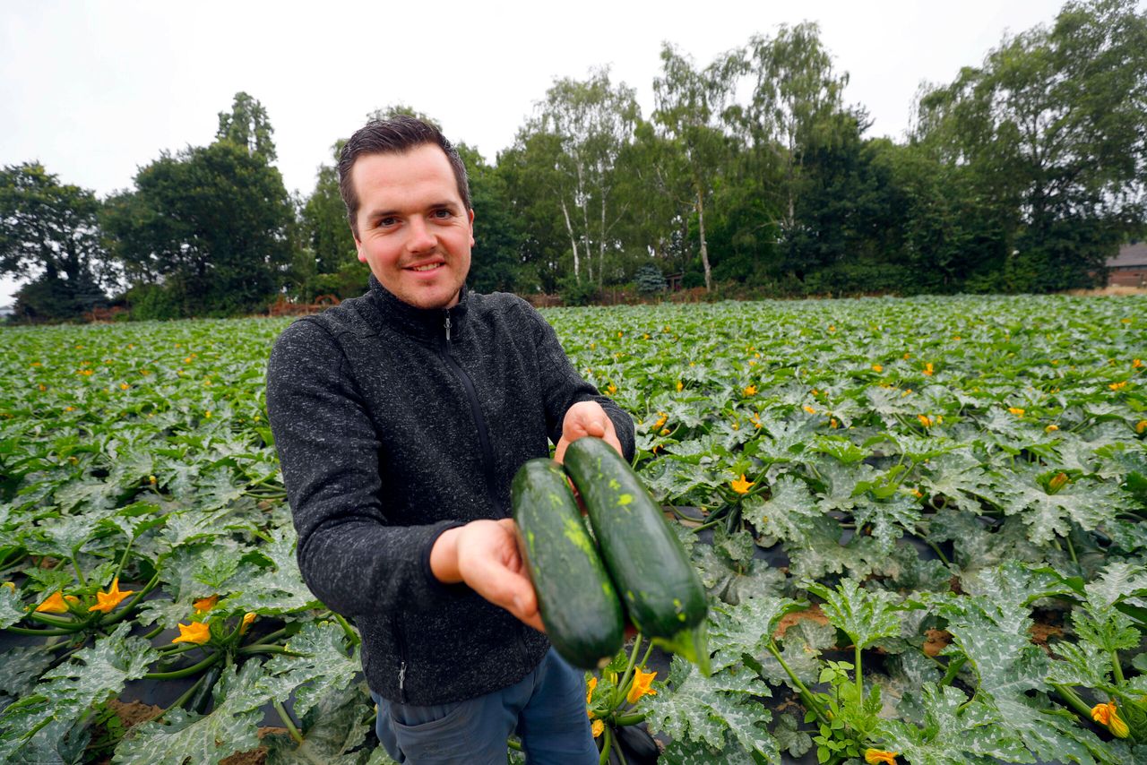 Paul Janssen met 2e keus courgette. - Foto: Bert Jansen