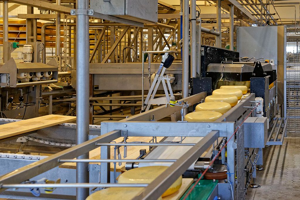 De productie van kaas in Lutjewinkel. - Foto: Lex Salverda