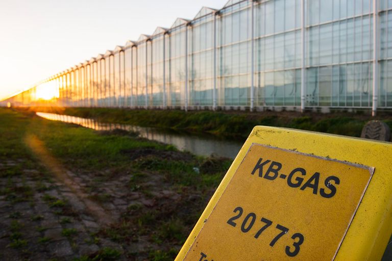 Glastuinbouw Nederland pleit voor het weren van speculanten, die zelf geen gas nodig hebben maar er alleen in handelen. - Foto: Twan Wiermans