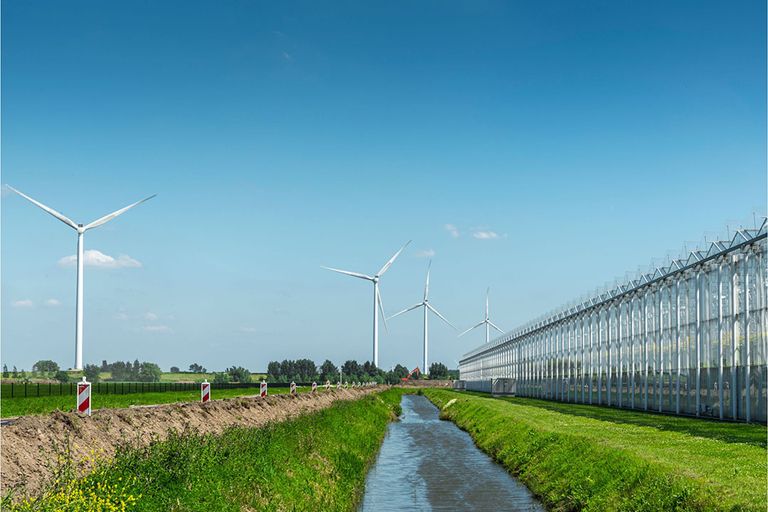 Elke tuinder met zijn eigen energiemix van gas, stroom, wkk, ketel, contract zus en contract zo weet hoe ingewikkeld en ondoorzichtig de vrije energiemarkt in elkaar zit.  - Foto: Canva/pidjoe