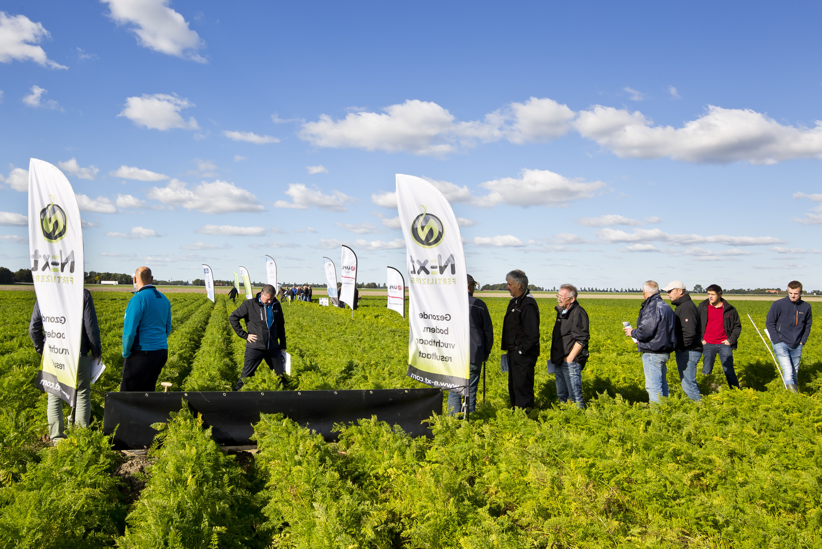 Bezoekers aan de open middag van peenplatform Quality Carrots bekijken de proeven. - Foto: Ruud Ploeg